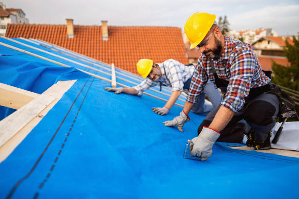 Best Storm Damage Roof Repair  in Horton, KS