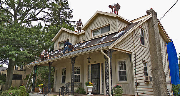Roof Gutter Cleaning in Horton, KS