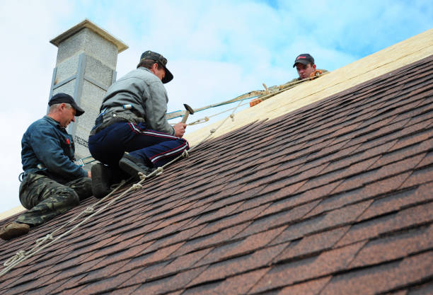 Best Metal Roofing Contractor  in Horton, KS